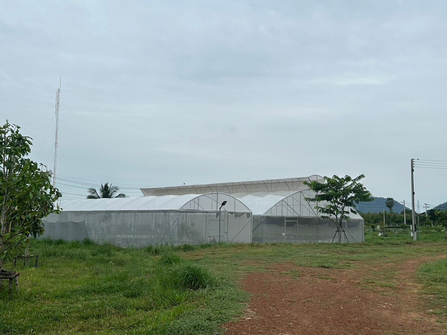 ที่ดินเกษตร เหมาะสำหรับจัดสรรเป็นโครงการบ้าน, บ้านสวน  พร้อมสวนเลมอน และสวนผสม บ่อปลา โรงเรือนปลูกผัก แนวคิดโคกหนองนาโมเดล  – รูปที่ 4