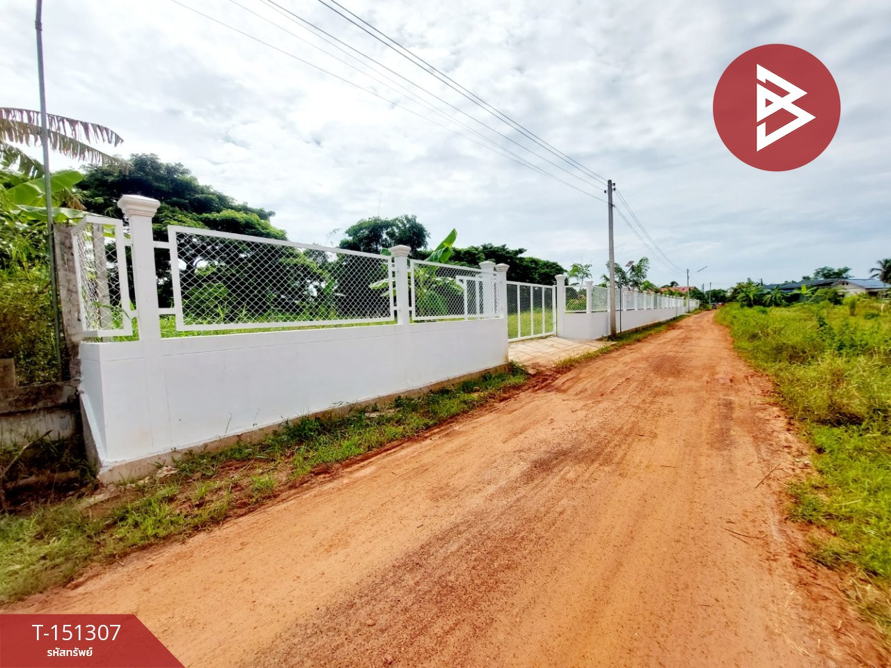 ขายที่ดิน เนื้อที่ 1 งาน โพนพิสัย หนองคาย – รูปที่ 2