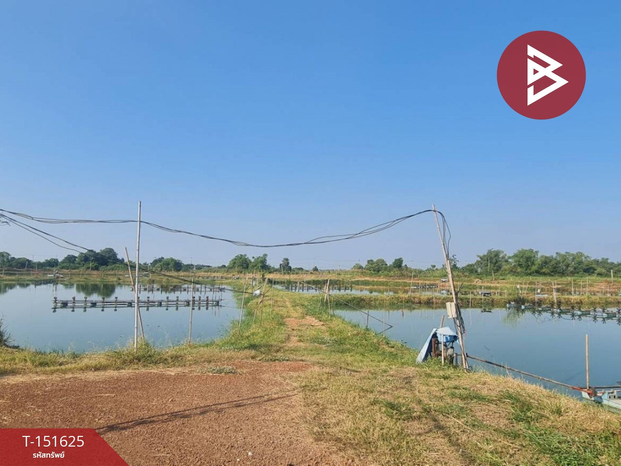 ขายที่ดิน เนื้อที่ 14 ไร่ 44 ตร.วา บ้านสร้าง ปราจีนบุรี – รูปที่ 2