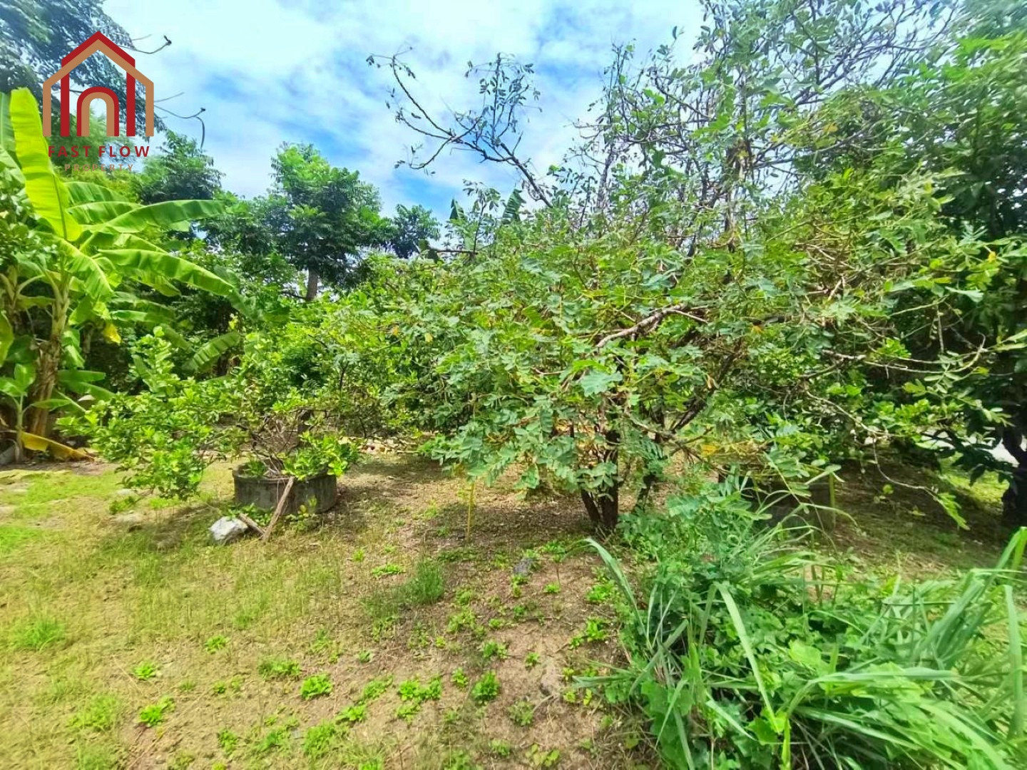 ขาย ที่ดิน 1 ไร่ ซอยสุขาภิบาล 5 ซอย18 ซอยเปลื้องอุทิศ หน้ากว้าง 31 เมตร ติดคลองหนองบัวบาน ใกล้ถนนเทพรักษ์ ถนนสุขาภิบาล5 MING – รูปที่ 4
