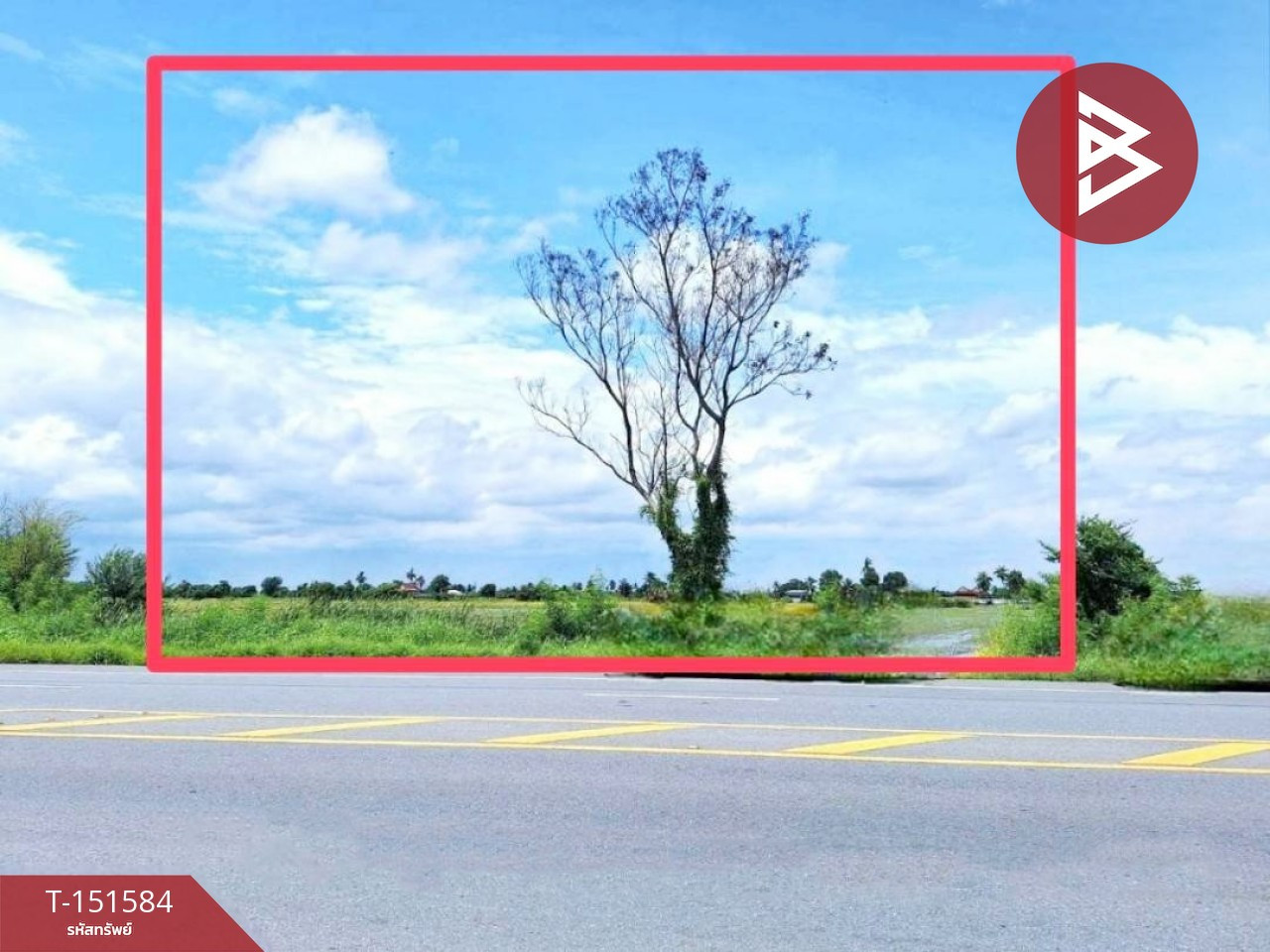 Land for sale, area 4 rai, Khok Kho Thao, Suphan Buri Land for sale, area 4 rai, Khok Kho Thao, Suphan Buri