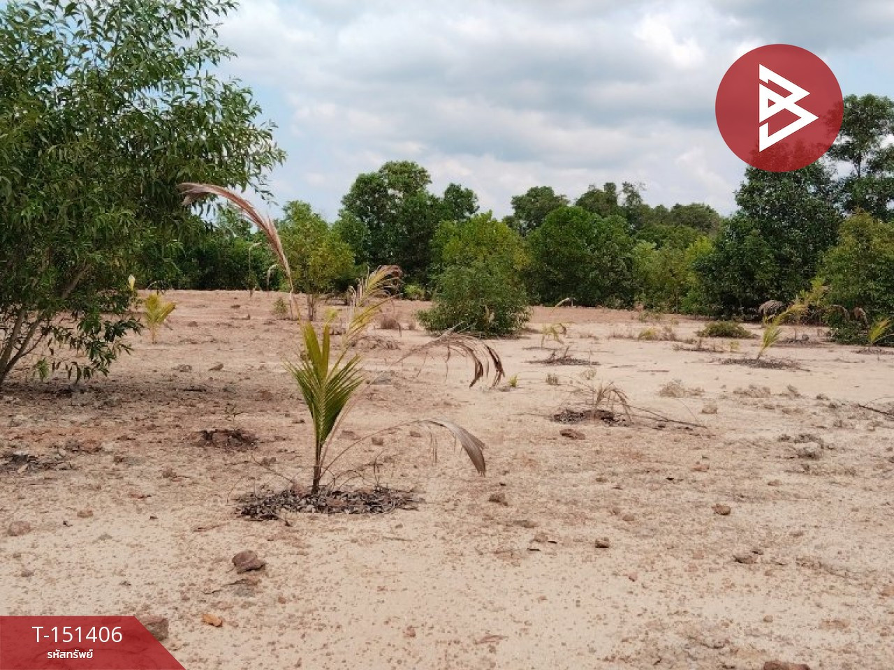Land for sale, area 2 rai 2 ngan 50 square wah, Koh Khwang, Chanthaburi, along Khlong Phakdee Ramphai. – รูปที่ 3
