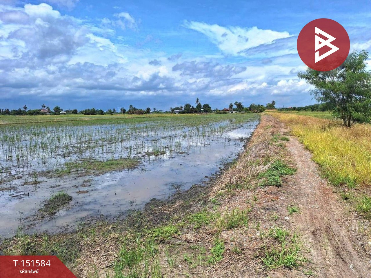 ขายที่ดิน เนื้อที่ 4 ไร่ โคกโคเฒ่า สุพรรณบุรี – รูปที่ 4