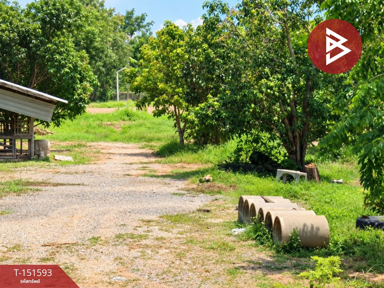ขายที่ดิน เนื้อที่ 1 ไร่ 28 ตร.วา ทองแสนขัน อุตรดิตถ์ – รูปที่ 4