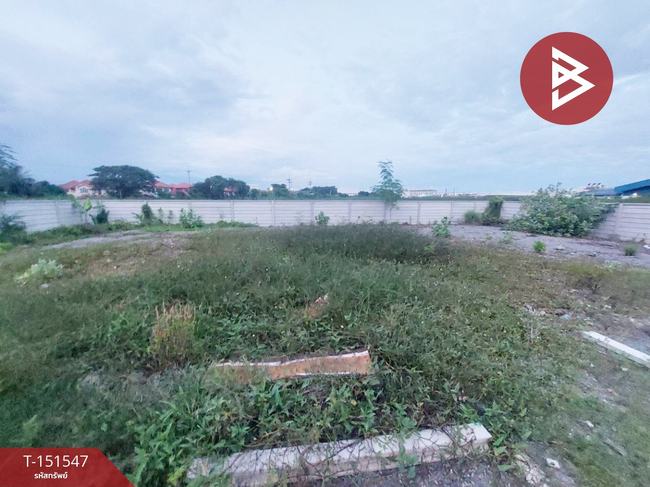 ขายที่ดิน เนื้อที่ 2 งาน นาดี สมุทรสาคร – รูปที่ 4