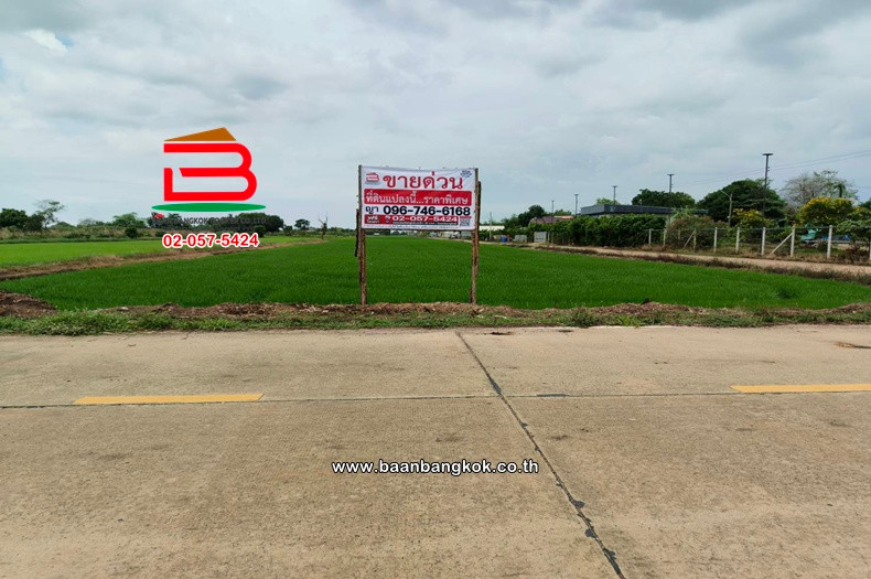 Vacant land, area 20-3-61 rai, near Khlong Hok Subdistrict Administrative Organization, Khlong 6 Road, west side, Khlong Hok Subdistrict, Khlong Luang District, Pathum Thani.