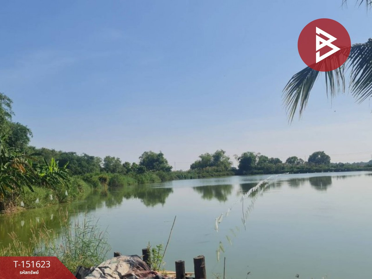 ขายที่ดินบ่อเลี้ยงปลา เนื้อที่ 40 ไร่ 1 งาน 37 ตร.วา บ้านสร้าง ปราจีนบุรี – รูปที่ 2