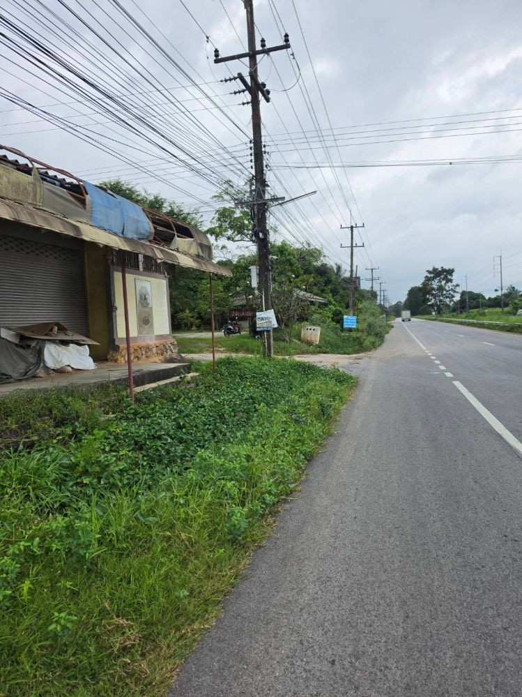 ขายที่ดิน 5 ไร่ มีโฉนด ทำเลดี จังหวัดระยอง ใกล้แหล่งท่องเที่ยวบ้านเพ-เกาะเสม็ด  – รูปที่ 2