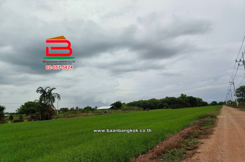 Vacant land, area 20-3-61 rai, near Khlong Hok Subdistrict Administrative Organization, Khlong 6 Road, west side, Khlong Hok Subdistrict, Khlong Luang District, Pathum Thani. – รูปที่ 3
