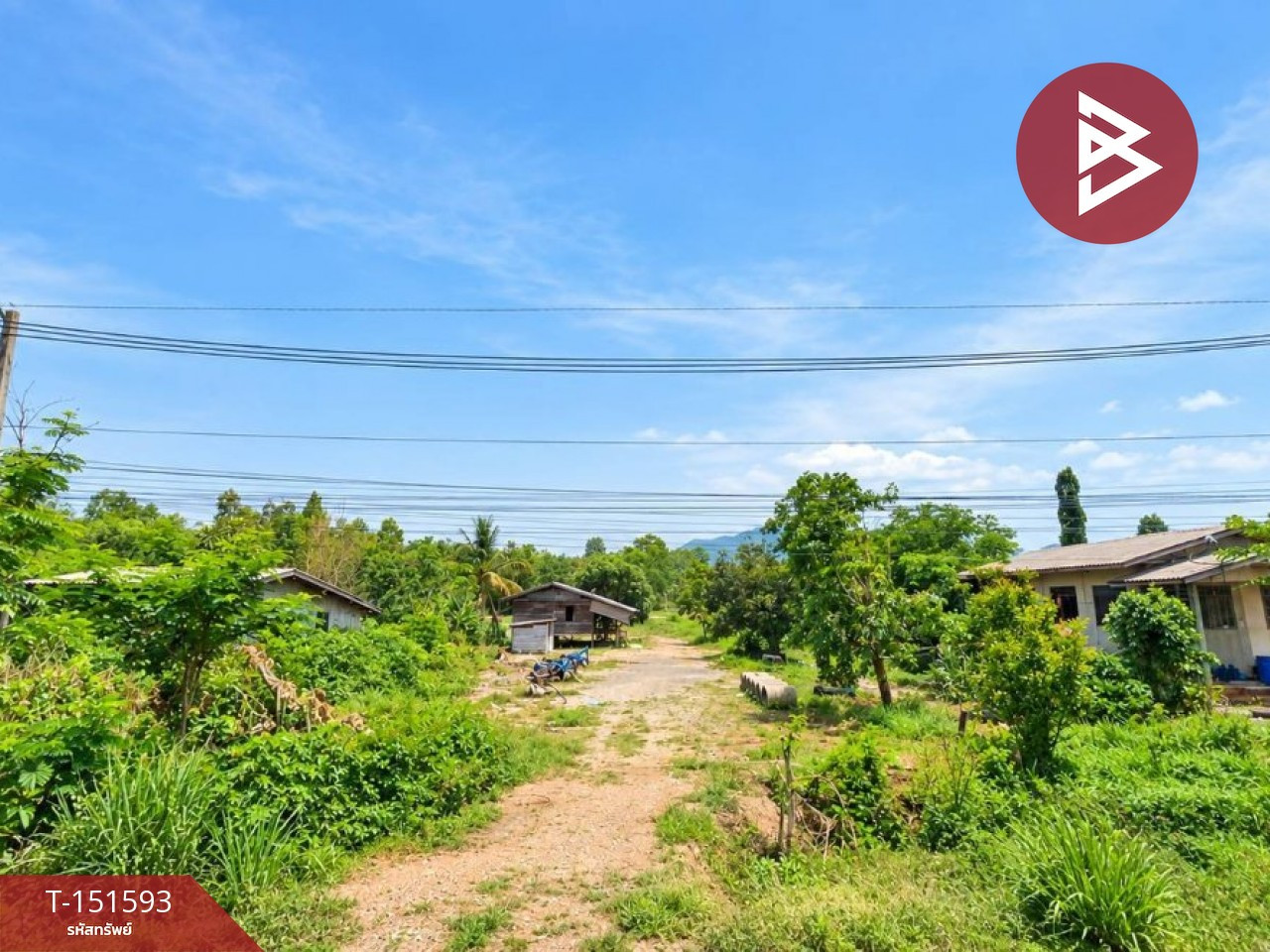 Land for sale, area 1 rai 28 sq m, Thong Saen Khan, Uttaradit. Land for sale, area 1 rai 28 sq m, Thong Saen Khan, Uttaradit.