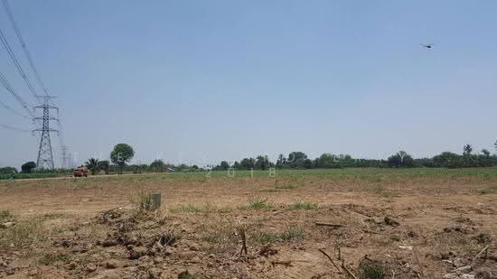 Land for sale, 20 rai, Ban Yang Subdistrict, Mueang District, Nakhon Pathom Province, next to the irrigation canal road. Near the village community, near the market, suitable for land allotted for sale, building houses, agriculture, near the new road, Ban Land for sale, 20 rai, Ban Yang Subdistrict, Mueang District, Nakhon Pathom Province, next to the irrigation canal road. Near the village community, near the market, suitable for land allotted for sale, building houses, agriculture, near the new road, Ban