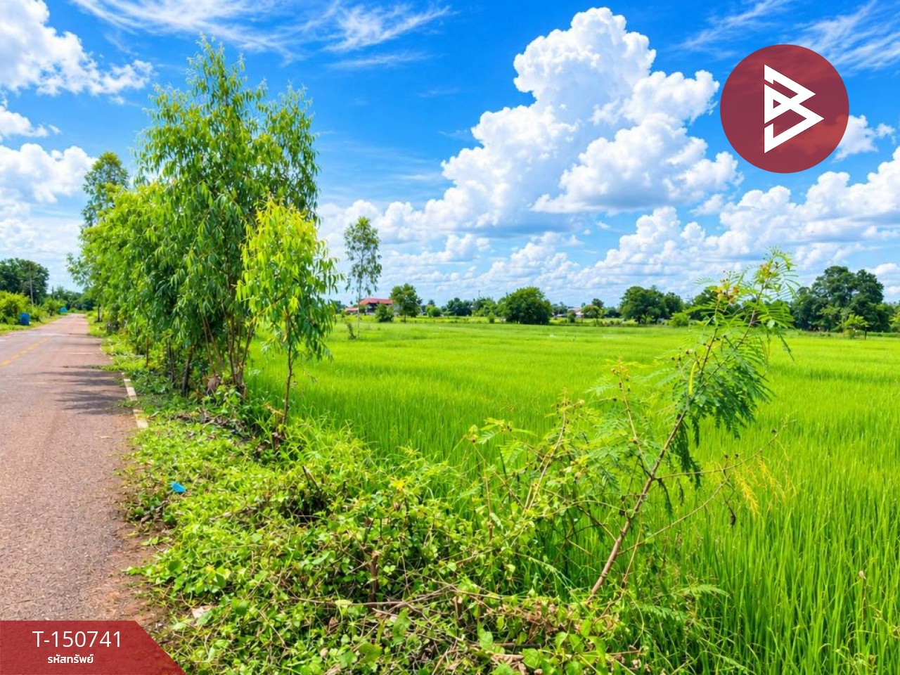 ขายที่ดิน เนื้อที่ 3 ไร่ 1 งาน 33.7 ตร.วา ธาตุพนม นครพนม – รูปที่ 4