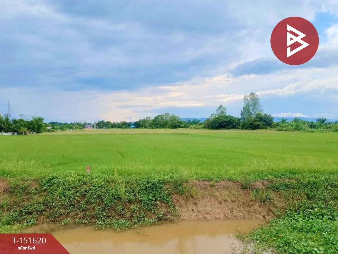 Land for sale, area 2 rai 2 ngan, Ban Ko, Uttaradit. Land for sale, area 2 rai 2 ngan, Ban Ko, Uttaradit.