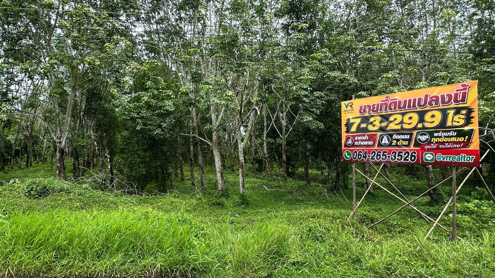 Land for sale in a rubber plantation, next to the road on 2 sides, near the community, near Thai Watsadu, good price, ready to accept all offers. – รูปที่ 2