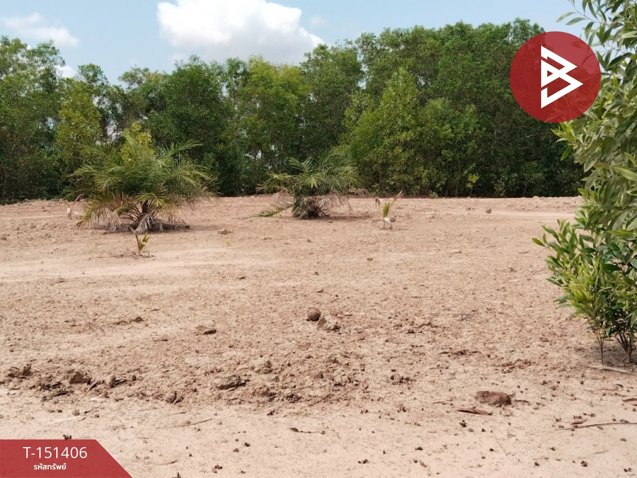 Land for sale, area 2 rai 2 ngan 50 square wah, Koh Khwang, Chanthaburi, along Khlong Phakdee Ramphai. – รูปที่ 2