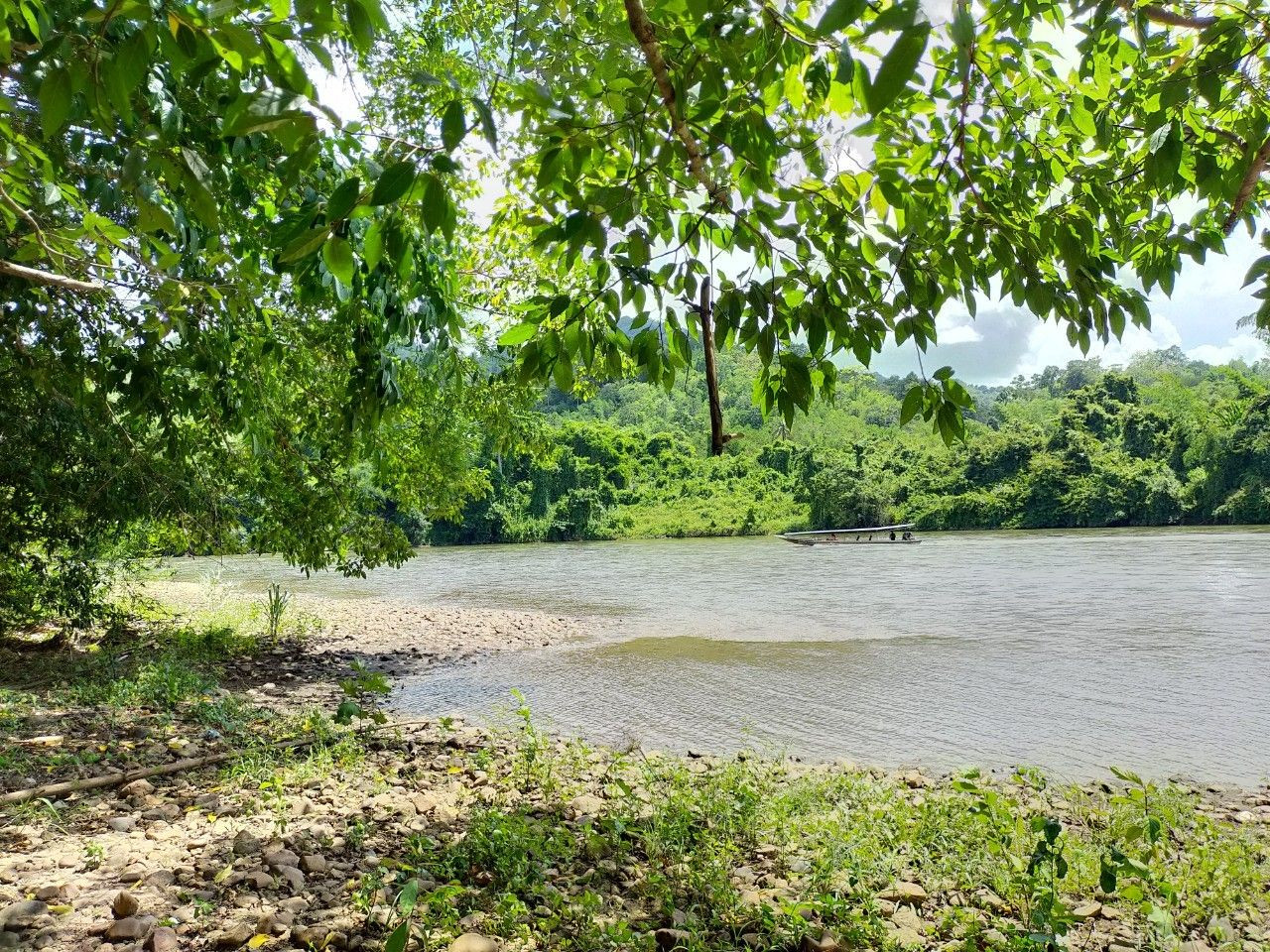 ขายที่ดินติดแม่น้ำแควน้อย 75 ไร่ มีหาดกรวดเล่นน้ำได้ ทำเลแพรีสอร์ท บ้านสวน ท่องเที่ยวเชิงเกษตร – รูปที่ 4