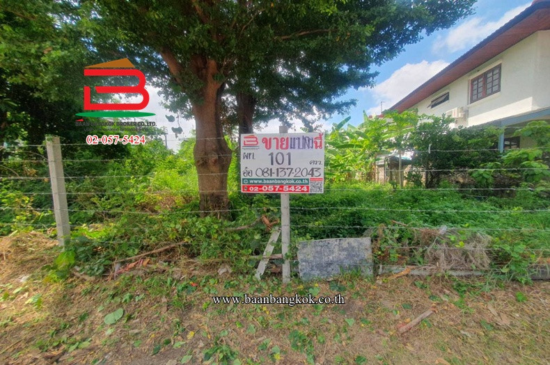 Empty land, Sinthorn Village, Rangsit (Soi D1,D2), area 101 sq m., near Do Home Bang Phun, Bang Phun Subdistrict, Mueang Pathum Thani District. Pathum Thani Province Empty land, Sinthorn Village, Rangsit (Soi D1,D2), area 101 sq m., near Do Home Bang Phun, Bang Phun Subdistrict, Mueang Pathum Thani District. Pathum Thani Province