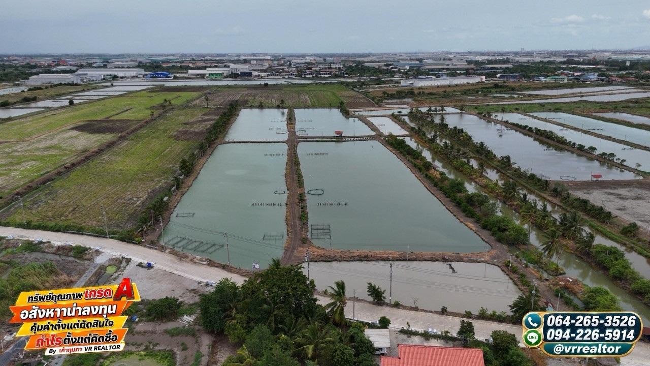 Purple plot land for sale, 25-1-61.7 rai, near Wellgrow Industrial Estate. Niyom Yatra Canal Industrial location, high potential – รูปที่ 3