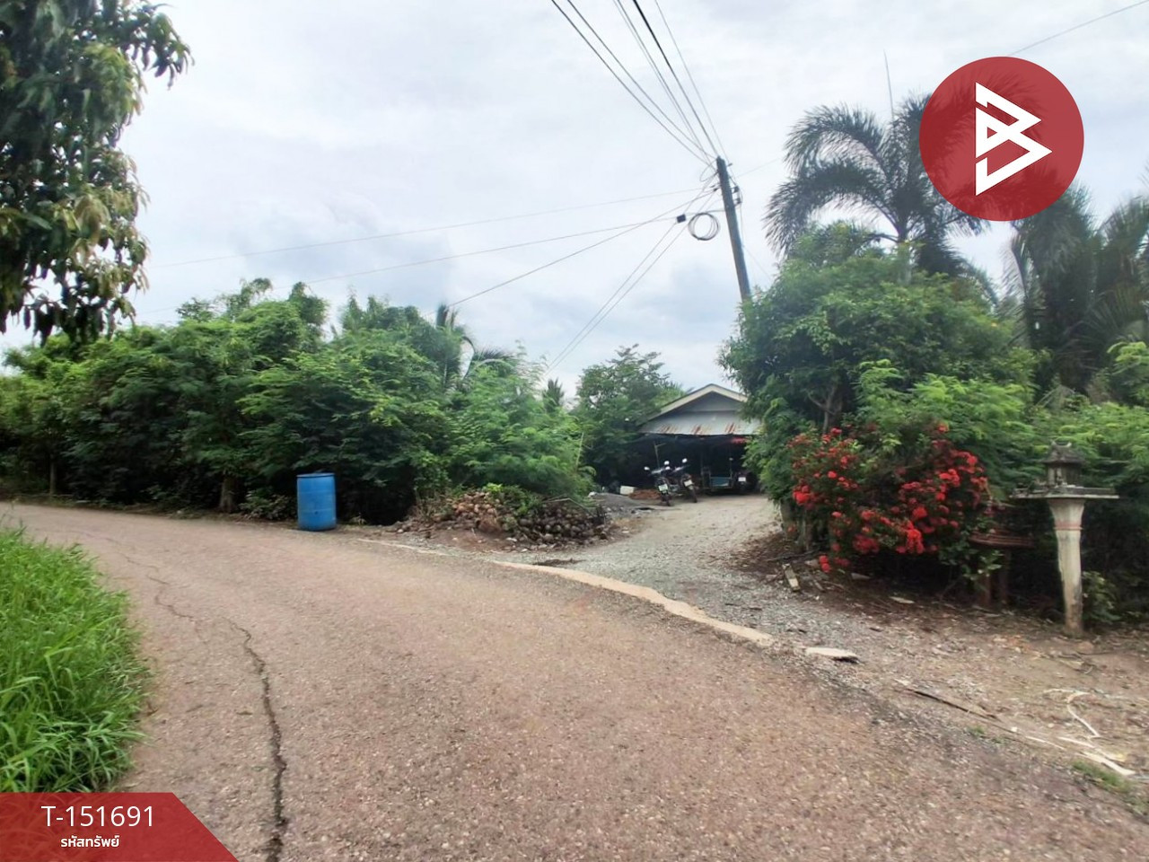 Land for sale, area 4 rai 3 ngan 81 sq m, Bang Kla, Chachoengsao. – รูปที่ 3