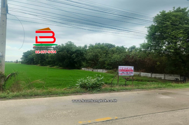 Vacant land, area 20-3-61 rai, near Khlong Hok Subdistrict Administrative Organization, Khlong 6 Road, west side, Khlong Hok Subdistrict, Khlong Luang District, Pathum Thani. – รูปที่ 2