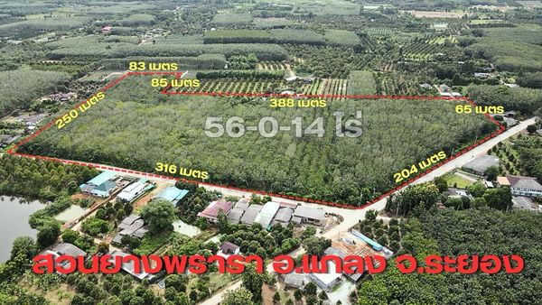ขายที่ดินสวยยาง ติดถนน 2 ด้าน ราคาต่ำกว่าตลาด เหมาะทำกำไรในระยะยาว