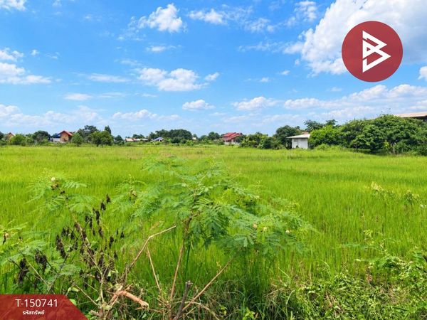 Land for sale, area 3 rai 1 ngan 33.7 sq m, That Phanom, Nakhon Phanom.