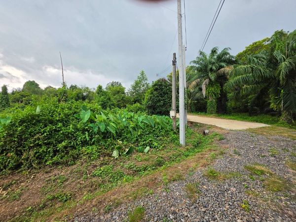 ขายที่ดิน 5 ไร่ มีโฉนด ทำเลดี จังหวัดระยอง ใกล้แหล่งท่องเที่ยวบ้านเพ-เกาะเสม็ด 