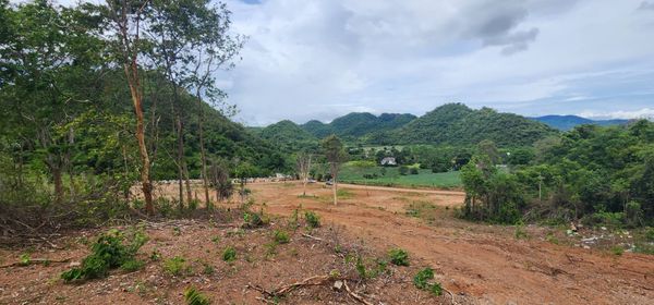 4 Empty lands for sale on a large hill, natural view, beautiful and quiet. Close to tourist attractions, very cheap