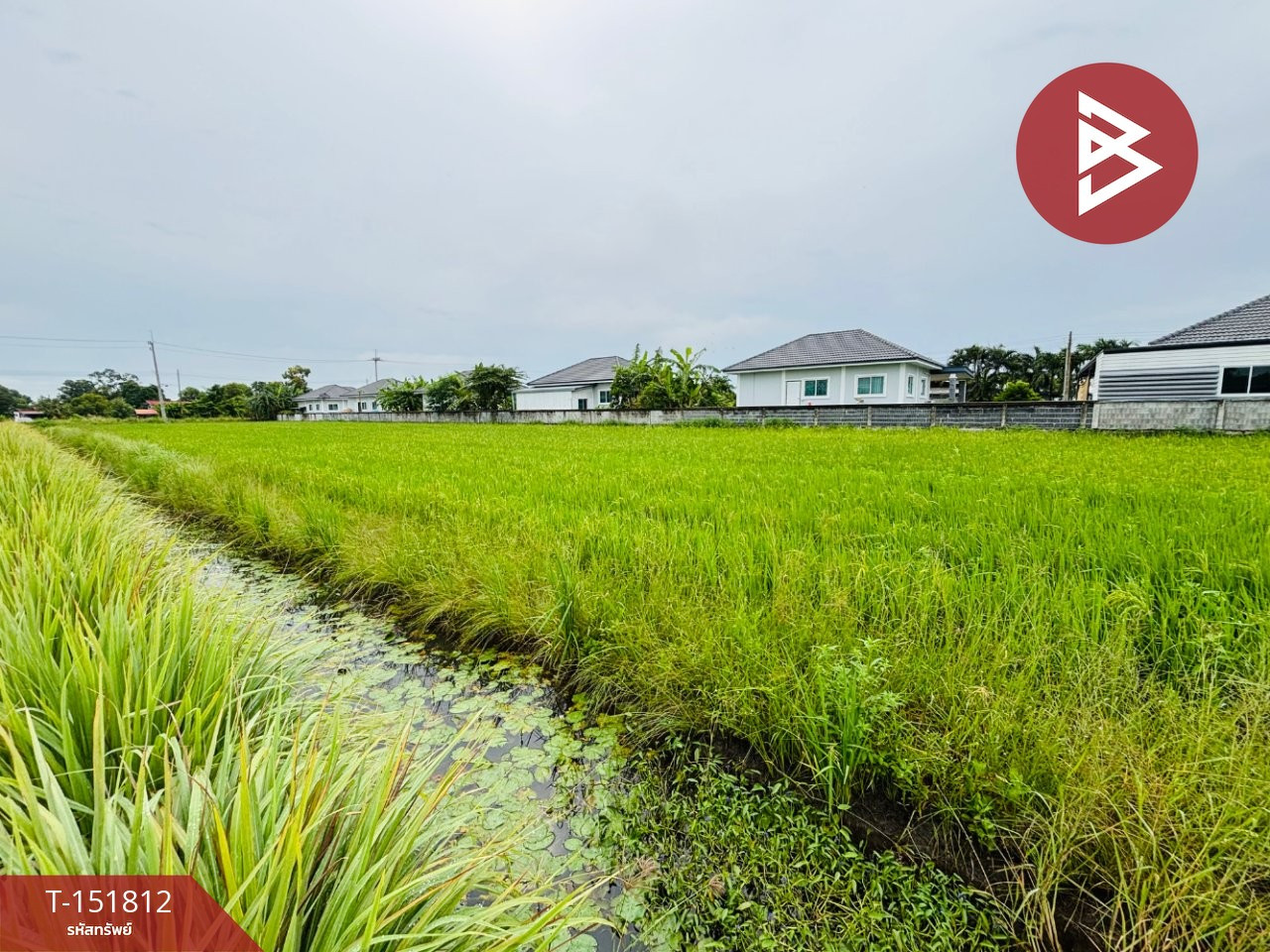 Beautiful land for sale, area 8 rai 68 square wah, Tha Khai Subdistrict, Mueang Chachoengsao, cheap price. – รูปที่ 3