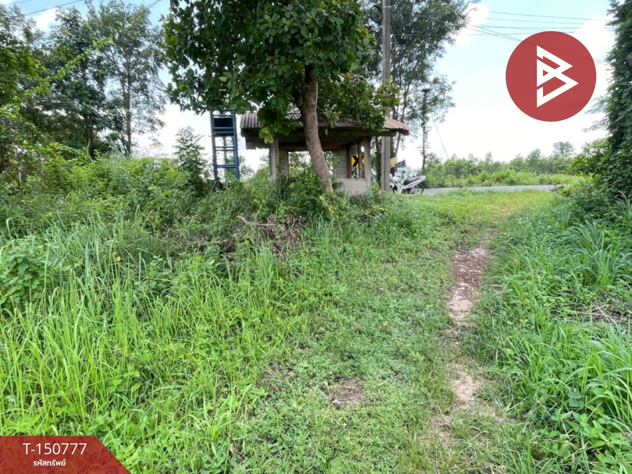 Land for sale, area 5 rai, Mr. M Amnat Charoen – รูปที่ 3