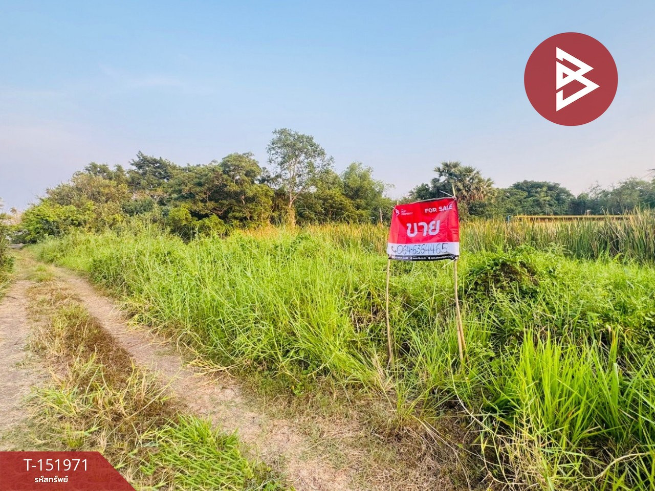 Land for sale, area 2 ngan, Nong Suea, Pathum Thani. Land for sale, area 2 ngan, Nong Suea, Pathum Thani.
