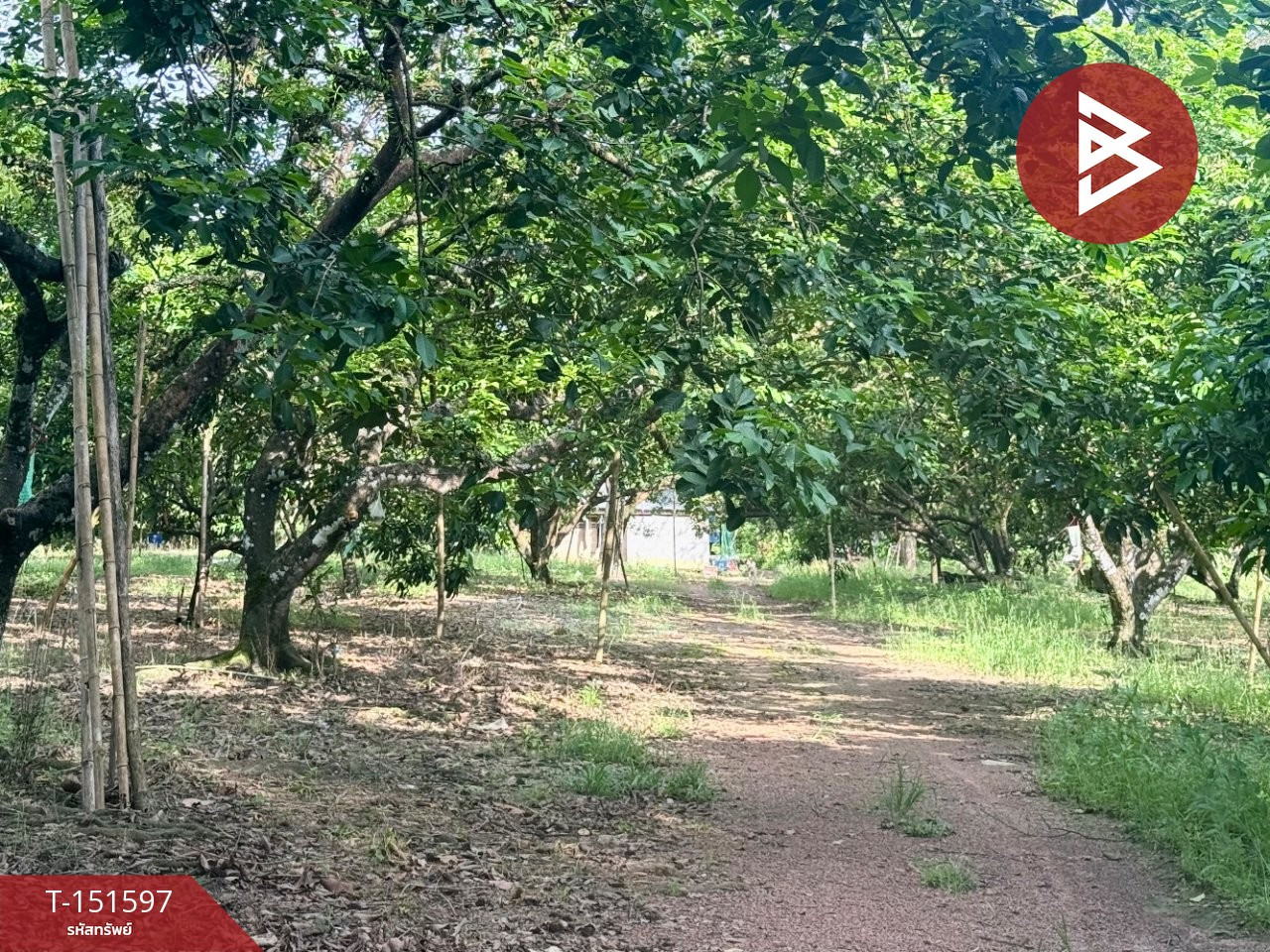 ขายที่ดิน เนื้อที่ 56 ไร่ 1 งาน 87.1 ตร.วา เขาสมิง ตราด – รูปที่ 2