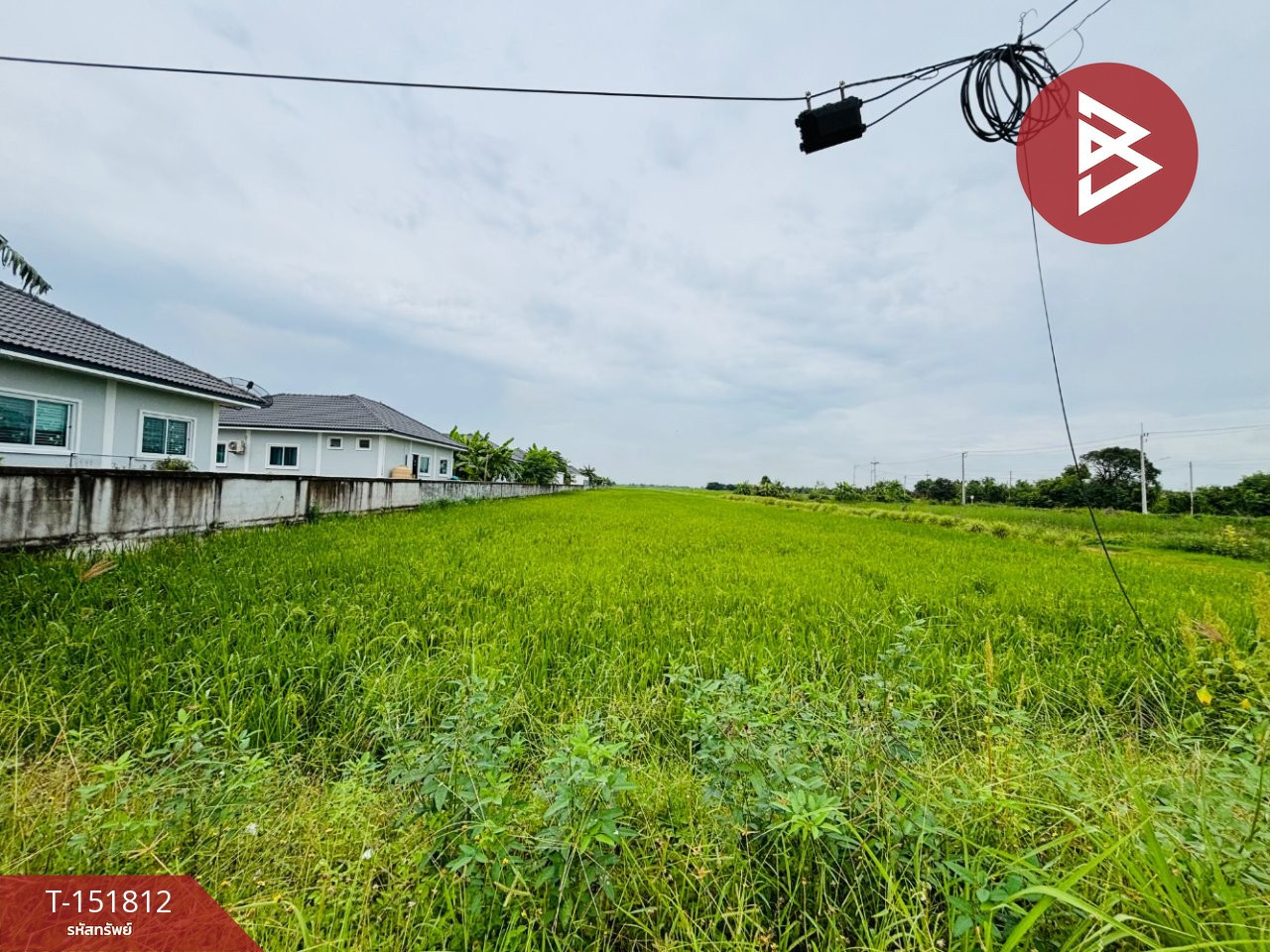 Beautiful land for sale, area 8 rai 68 square wah, Tha Khai Subdistrict, Mueang Chachoengsao, cheap price. – รูปที่ 2
