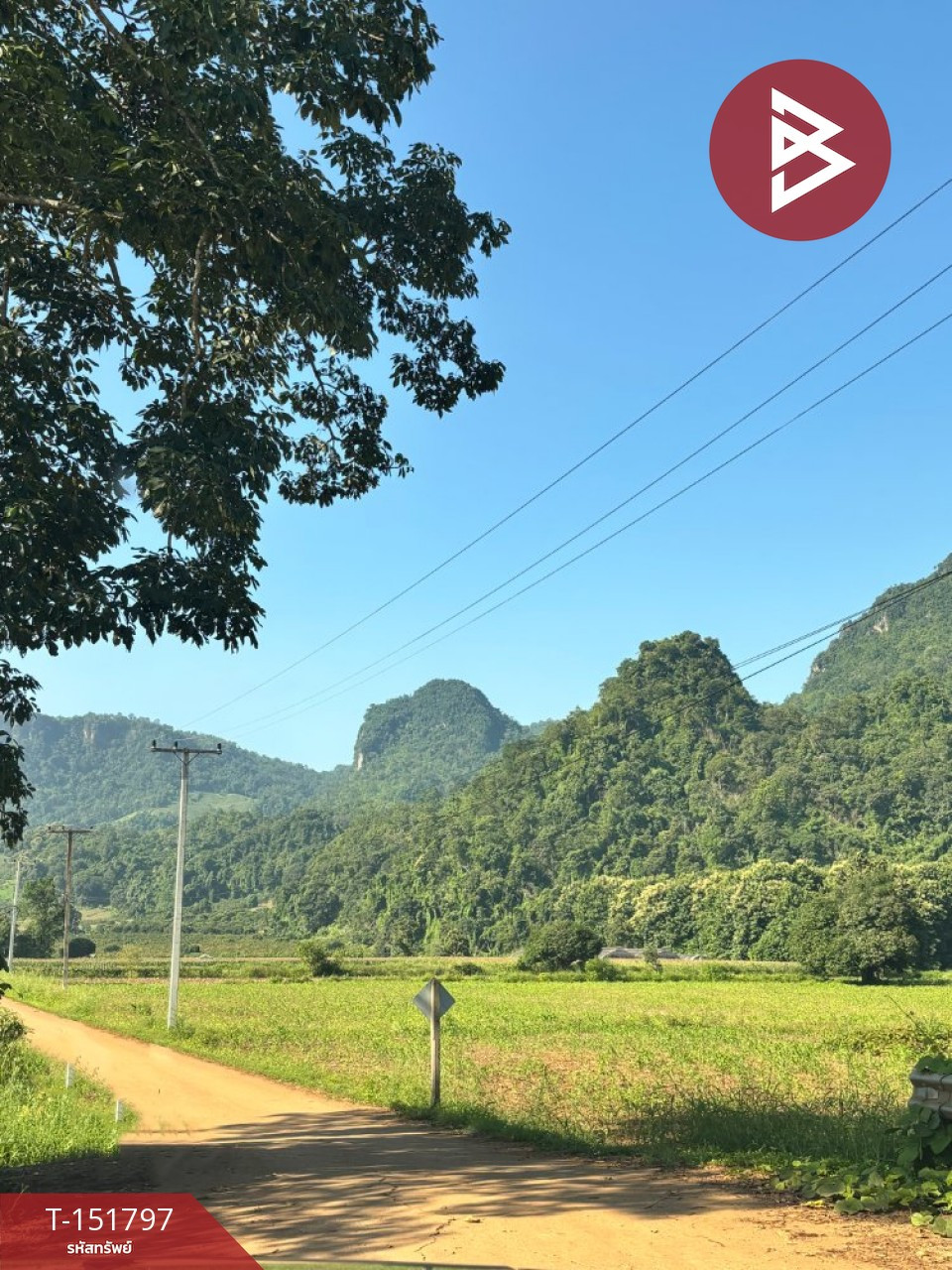 ขายที่ดิน เนื้อที่ 1 ไร่ 56.1 ตร.วา เชียงดาว เชียงใหม่ – รูปที่ 2