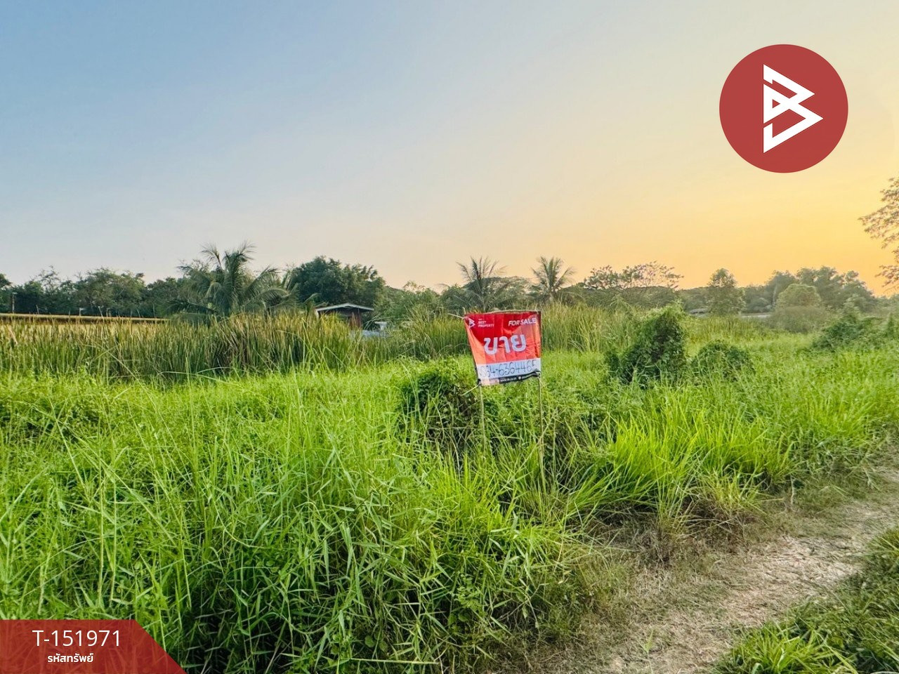 Land for sale, area 2 ngan, Nong Suea, Pathum Thani. – รูปที่ 2