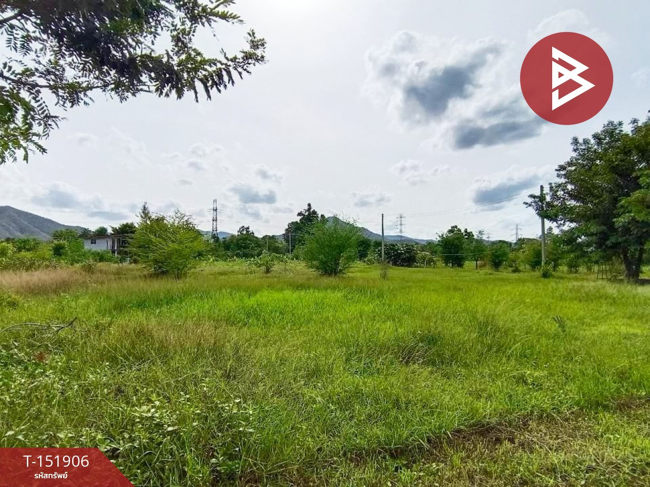ขายที่ดิน เนื้อที่ 2 งาน ปากท่อ ราชบุรี – รูปที่ 2