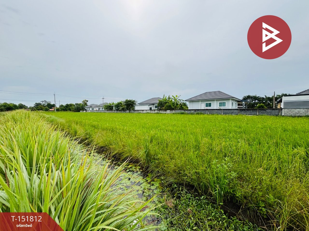 Beautiful land for sale, area 8 rai 68 square wah, Tha Khai Subdistrict, Mueang Chachoengsao, cheap price.