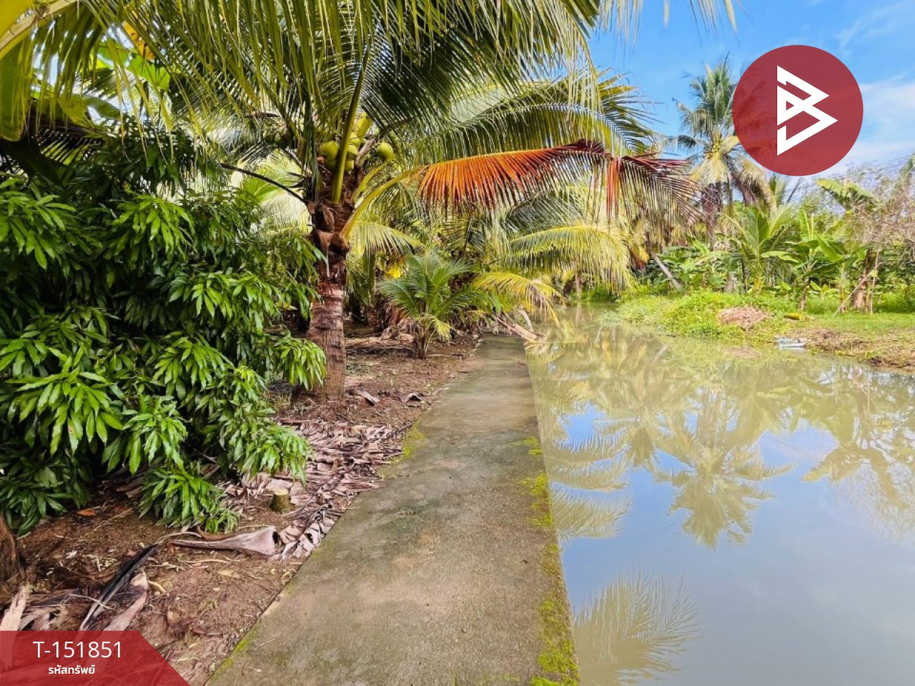 ขายที่ดิน เนื้อที่ 1 ไร่ 42.2 ตร.วา อัมพวา สมุทรสงคราม – รูปที่ 2