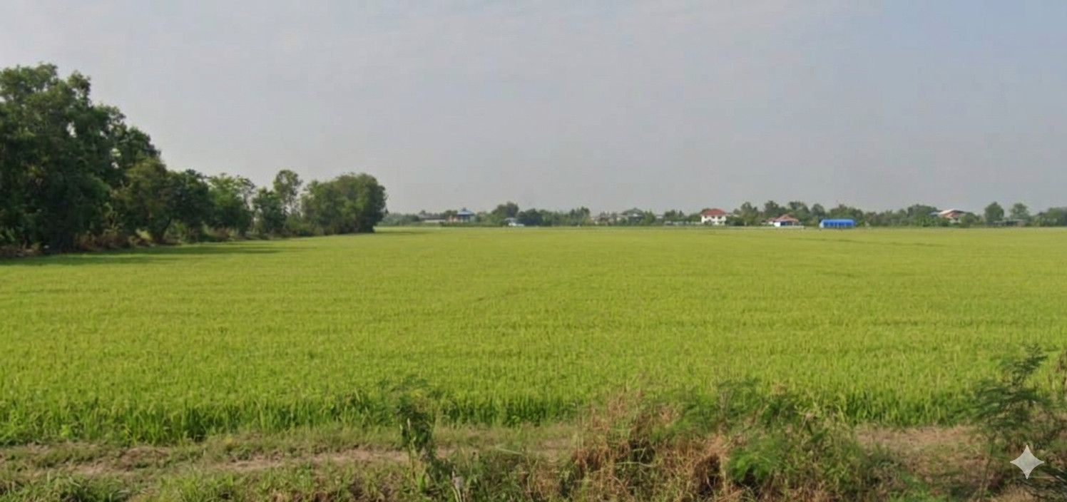 Land for sale in Bang Luang, Mueang District, Pathum Thani, 7 rai 1 ngan 74 sq m, very good location, close to Pathum Wilai intersection, only 5 minutes. – รูปที่ 2
