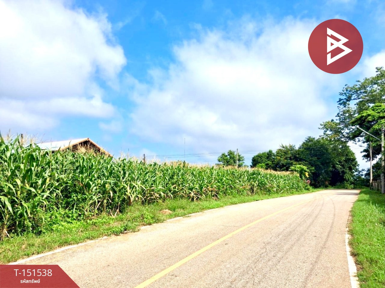 Land for sale, area 2 ngan, Pa Sao, Uttaradit. Land for sale, area 2 ngan, Pa Sao, Uttaradit.