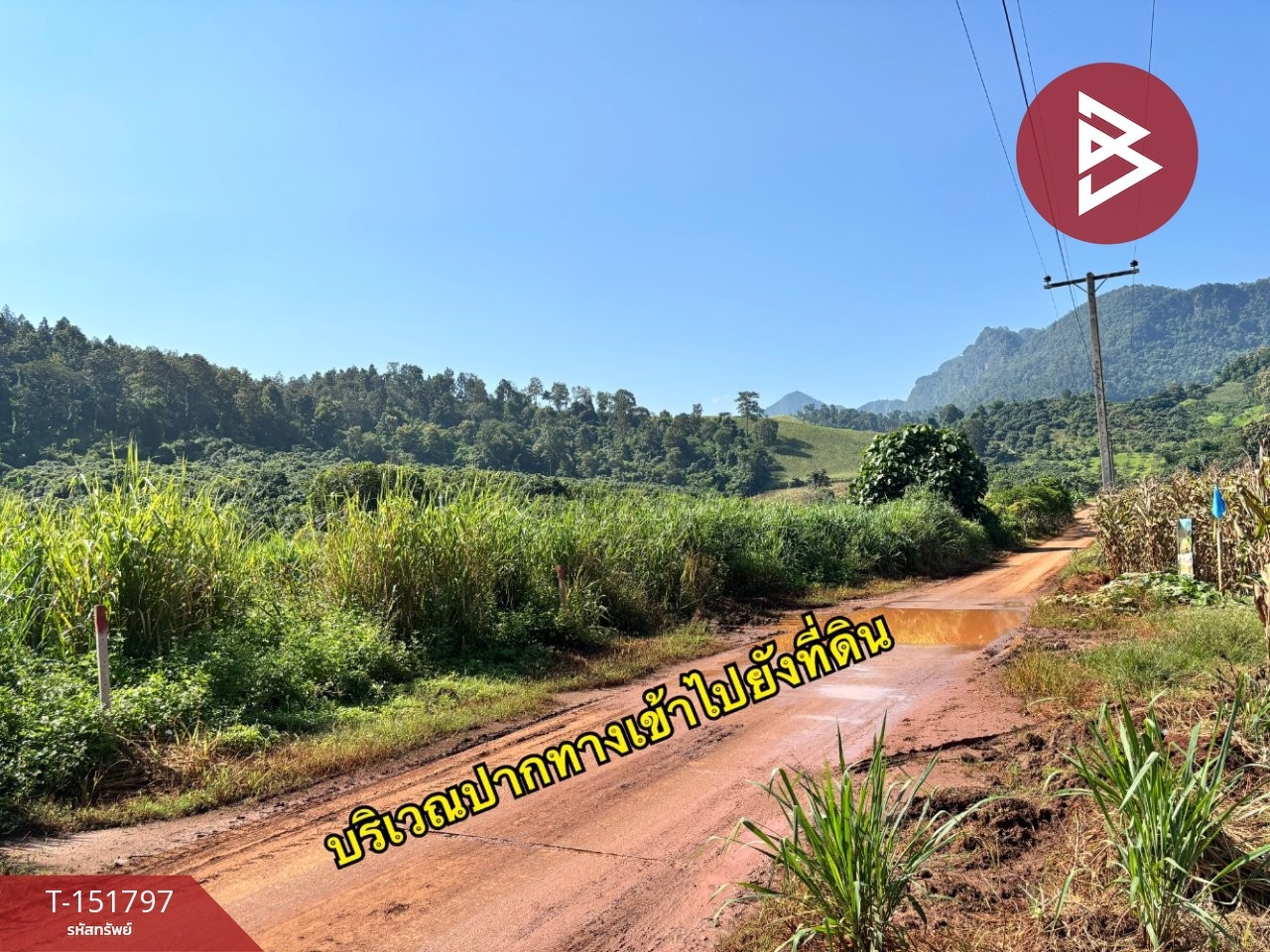 ขายที่ดิน เนื้อที่ 1 ไร่ 56.1 ตร.วา เชียงดาว เชียงใหม่ – รูปที่ 3