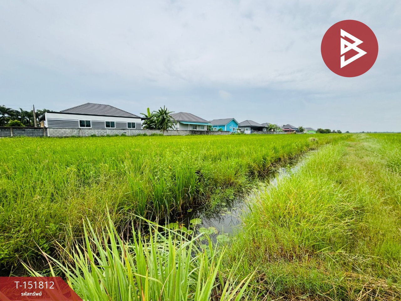 Beautiful land for sale, area 8 rai 68 square wah, Tha Khai Subdistrict, Mueang Chachoengsao, cheap price. – รูปที่ 4