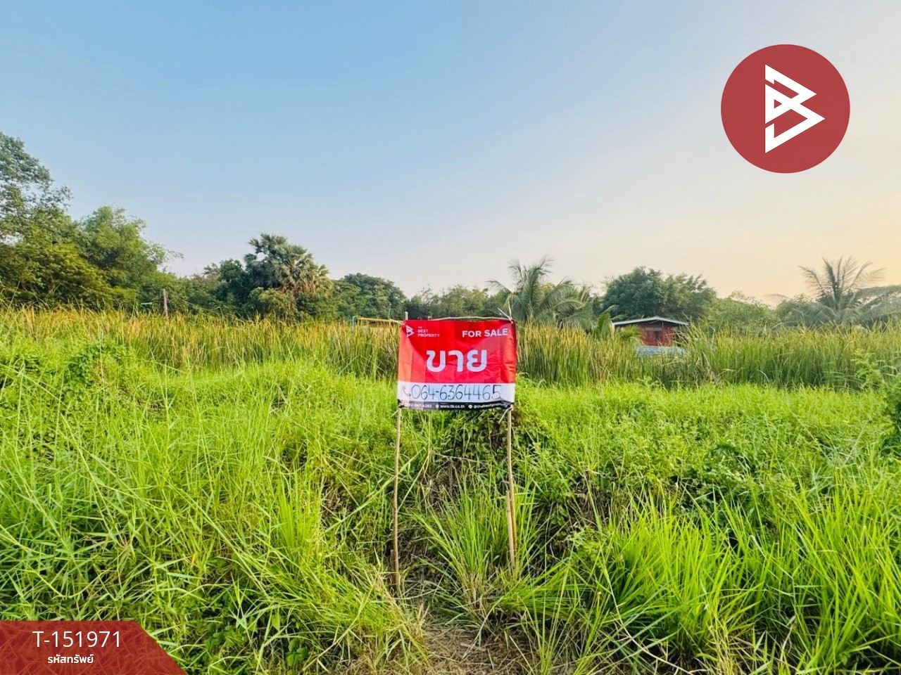Land for sale, area 2 ngan, Nong Suea, Pathum Thani. – รูปที่ 3
