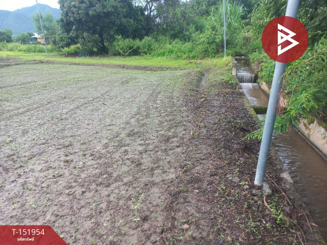 ขายที่ดิน เนื้อที่ 1 ไร่ 64 ตร.วา ปาย แม่ฮ่องสอน – รูปที่ 2