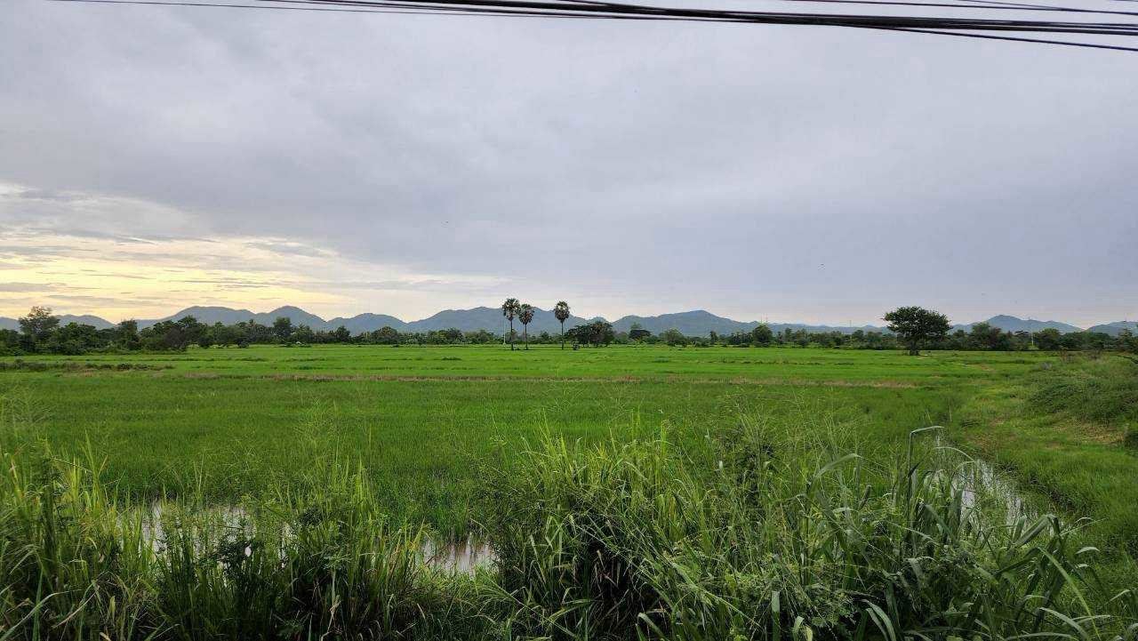 Land for sale, 44 rai 360 sq m, next to Petchkasem Road, km. 143, Khao Yoi, Phetchaburi, width 120 meters, can be sold separately. – รูปที่ 2
