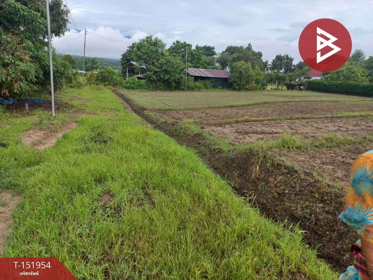 ขายที่ดิน เนื้อที่ 1 ไร่ 64 ตร.วา ปาย แม่ฮ่องสอน – รูปที่ 3