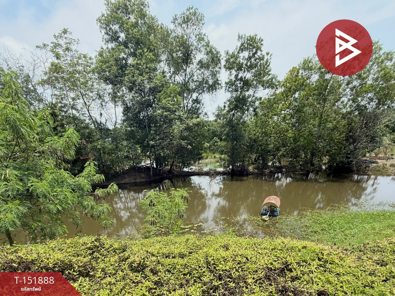Land for sale with durian orchard, area 5 rai 3 ngan 28.4 square wah, Sanam Chai Subdistrict, Na Yai Am District, Chanthaburi Province. – รูปที่ 4