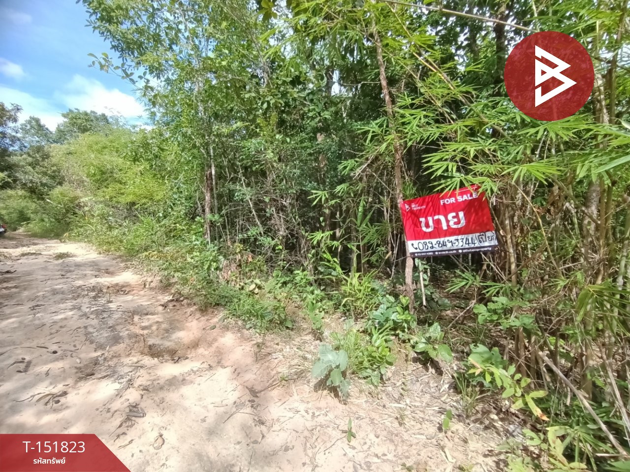 Land for sale, area 19 rai 3 ngan 98 square wa, Chiang Klang, Nan, on the hill, cheap price. Land for sale, area 19 rai 3 ngan 98 square wa, Chiang Klang, Nan, on the hill, cheap price.