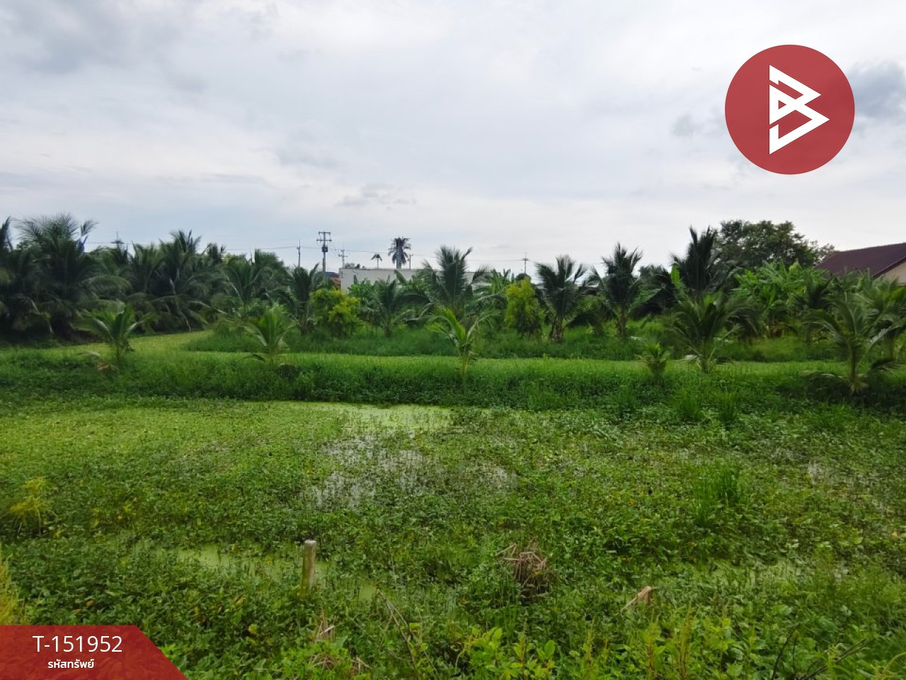 ขายที่ดิน เนื้อที่ 5 ไร่ 9 ตร.วา นครชัยศรี นครปฐม – รูปที่ 2