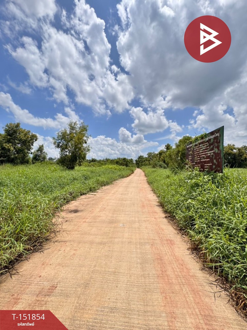 ขายที่ดิน เนื้อที่ 1 ไร่ 2 งาน แดงใหญ่ ขอนแก่น  – รูปที่ 3
